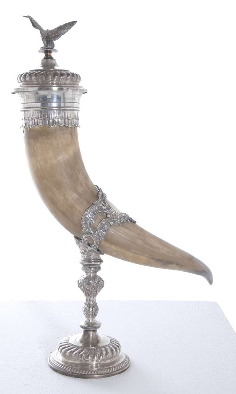 antique drinking horn