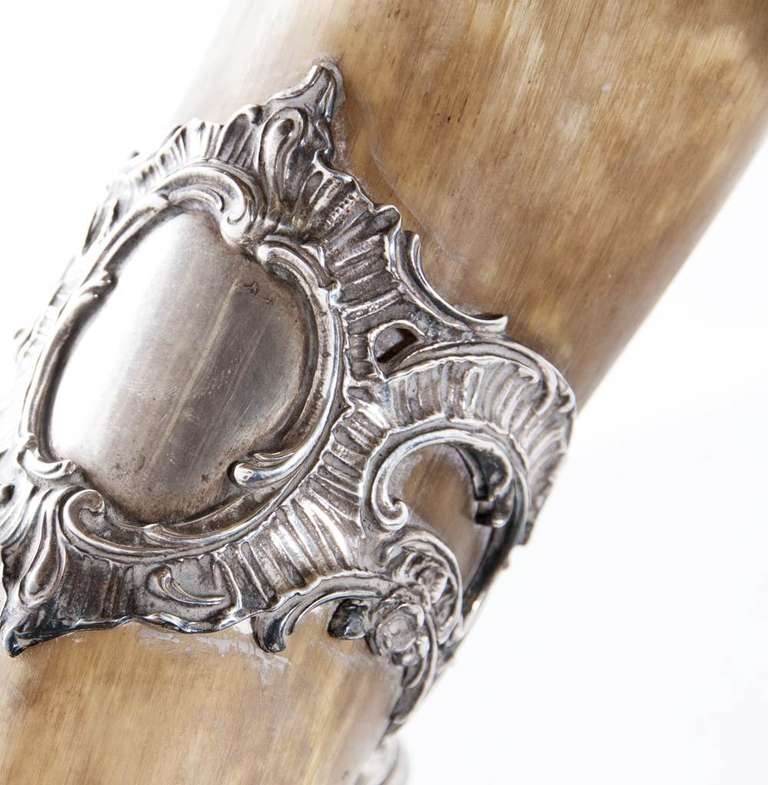 Antique German Horn Drinking Cup 2