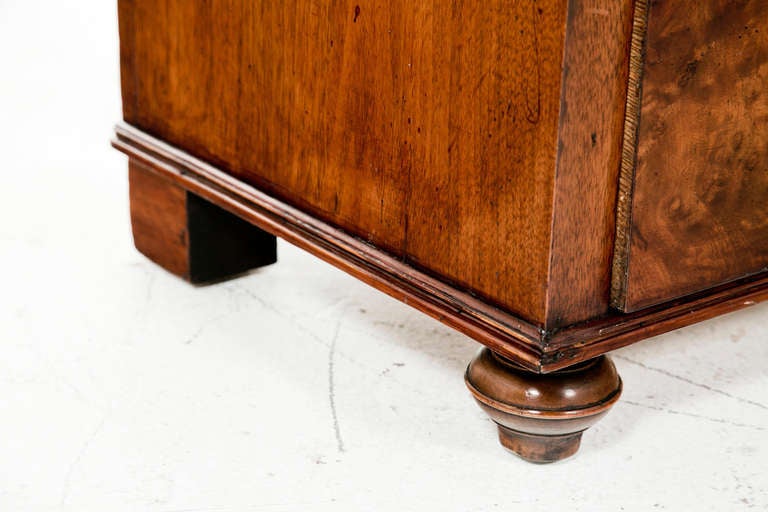 Biedermeier Swedish Burled Elm Chest, circa 1880