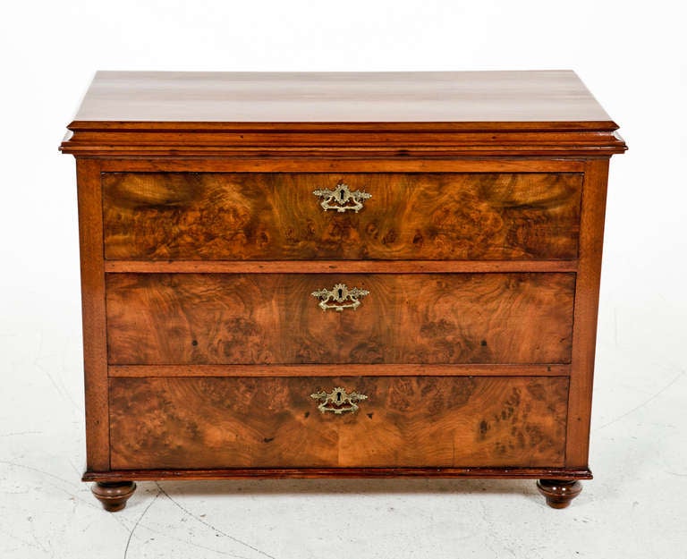 19th Century Swedish Burled Elm Chest, circa 1880