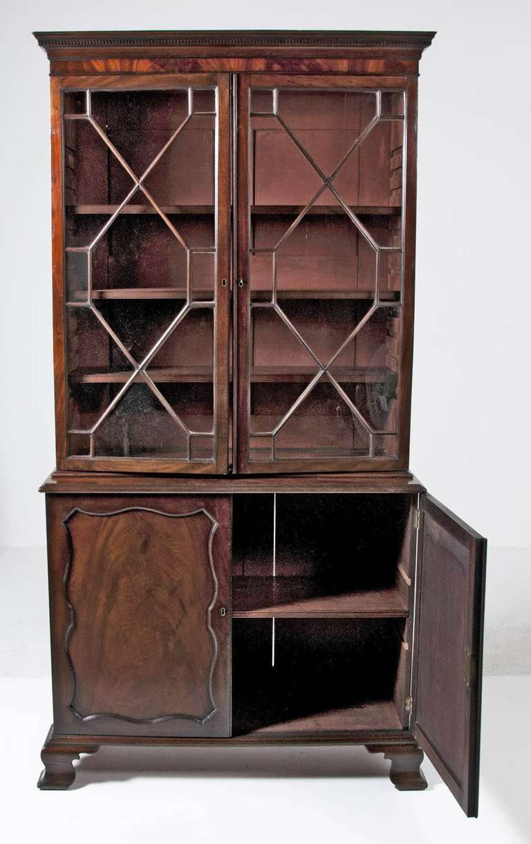 Wood Chippendale Mahogany Bookcase or Cabinet