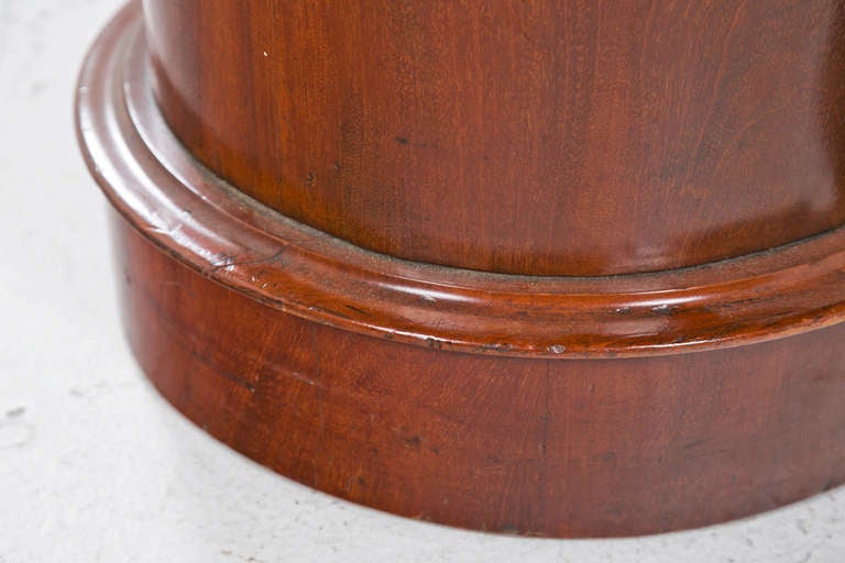Brass Pair of English Mahogany Pedestal Cabinets