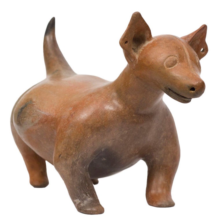 A very nice example of a Colima pottery dog made in western Mexico about 2000 years ago.