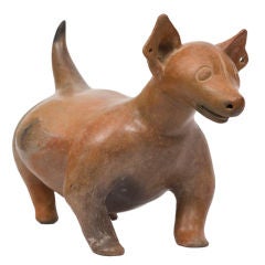 Colima Pottery Dog