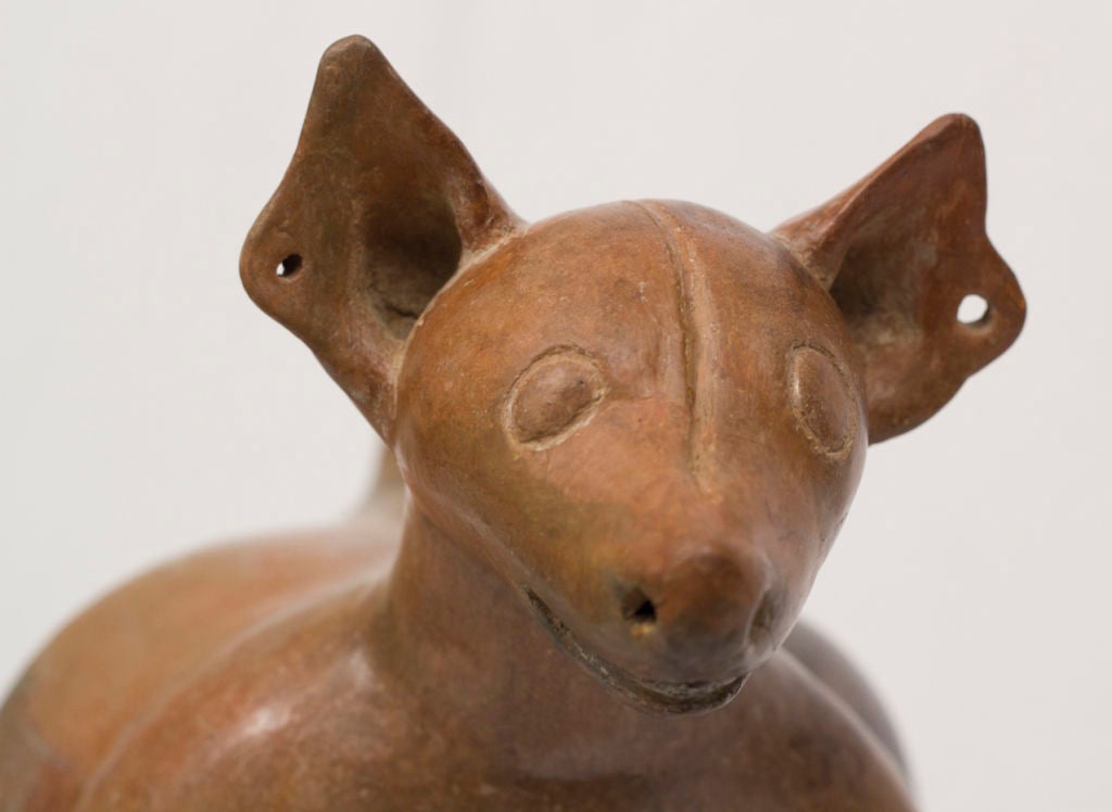 Mexican Colima Pottery Dog