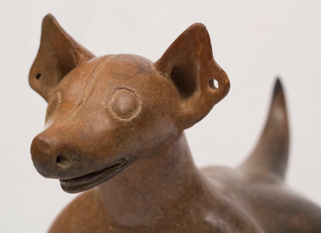 18th Century and Earlier Colima Pottery Dog