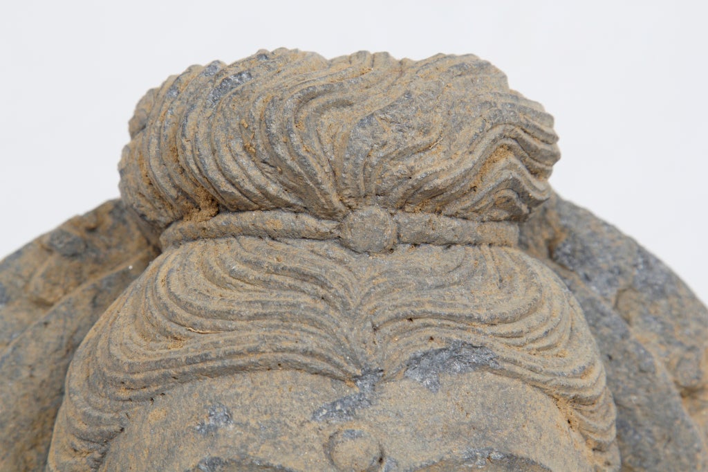 18th Century and Earlier Kushan Schist Head of Buddha