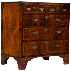English Walnut Chest