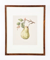 Framed Antique Chromolithograph