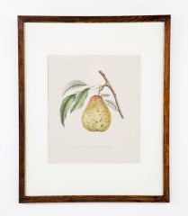 Framed Antique Chromolithograph