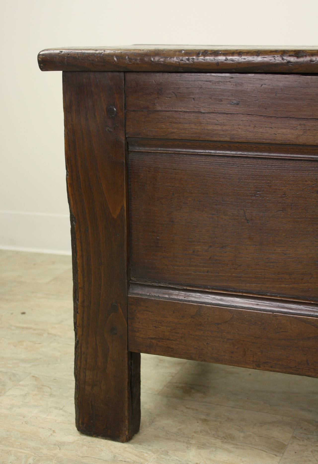 19th Century French Antique Chestnut Coffer