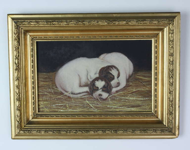 Very adorable puppies, turn of century, the signature is obscured. Oil mounted in a typical turn of century/Victorian frame. Measurements below are for the frame.