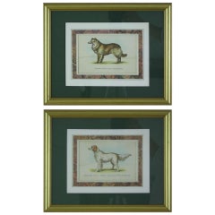 Pair of English Antique Hand-Colored Dog Prints