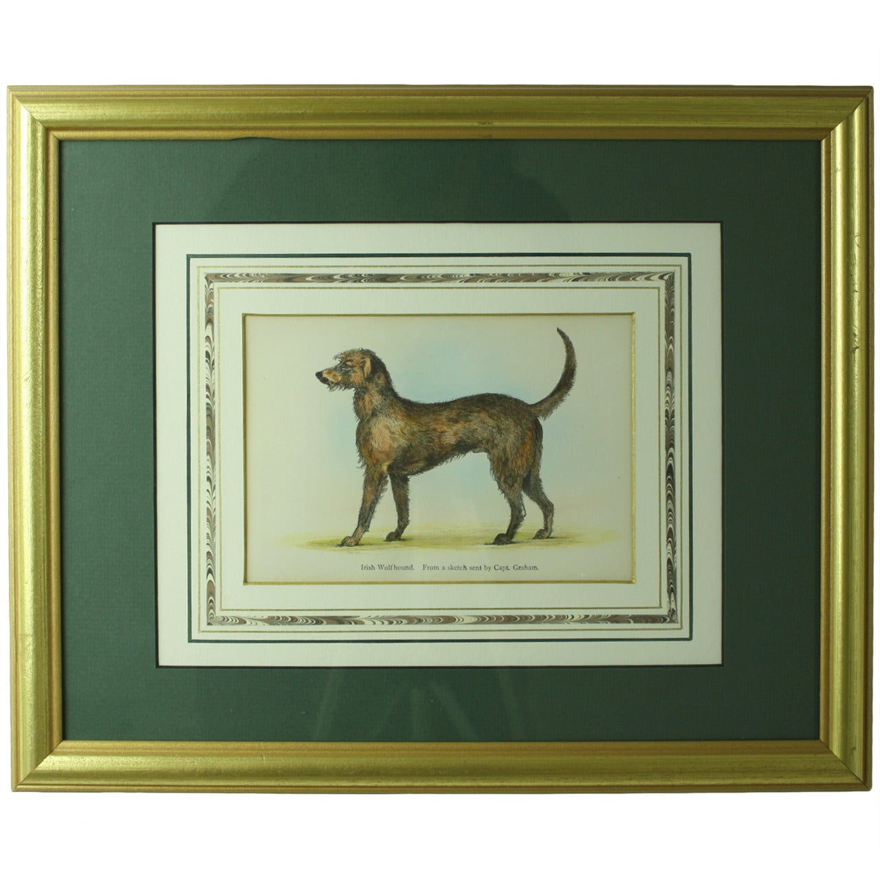 Four Antique English Hand-Colored Dog Plates