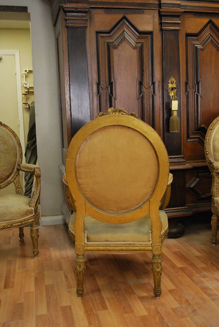 Giltwood Set of four french gilded wood & nedllepoint Louis XVI Style Fauteuils