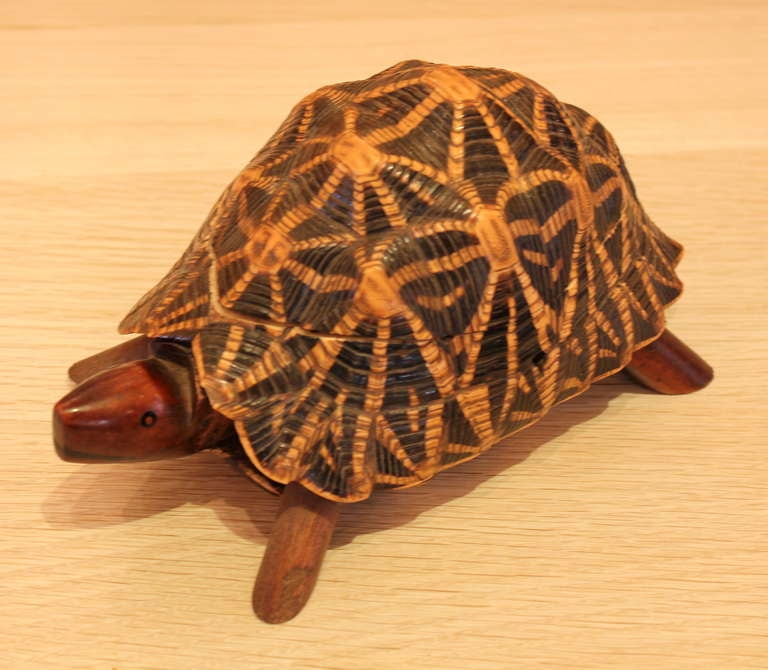 Marquetry Wood Box in Tramp Art Style.   Handmade Marquetry Wooden Box in the Shape of a Turtle.  Beautiful interior.  