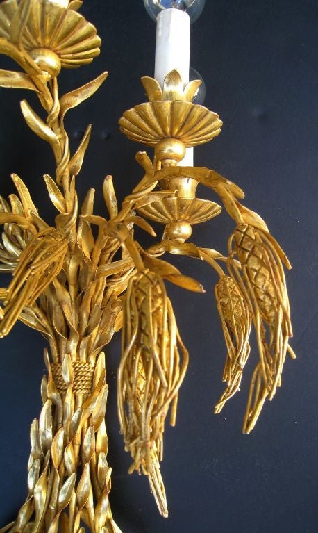 Rare Pair of Large Arturo Pani Sheaf of Wheat Sconces In Excellent Condition In Los Angeles, CA