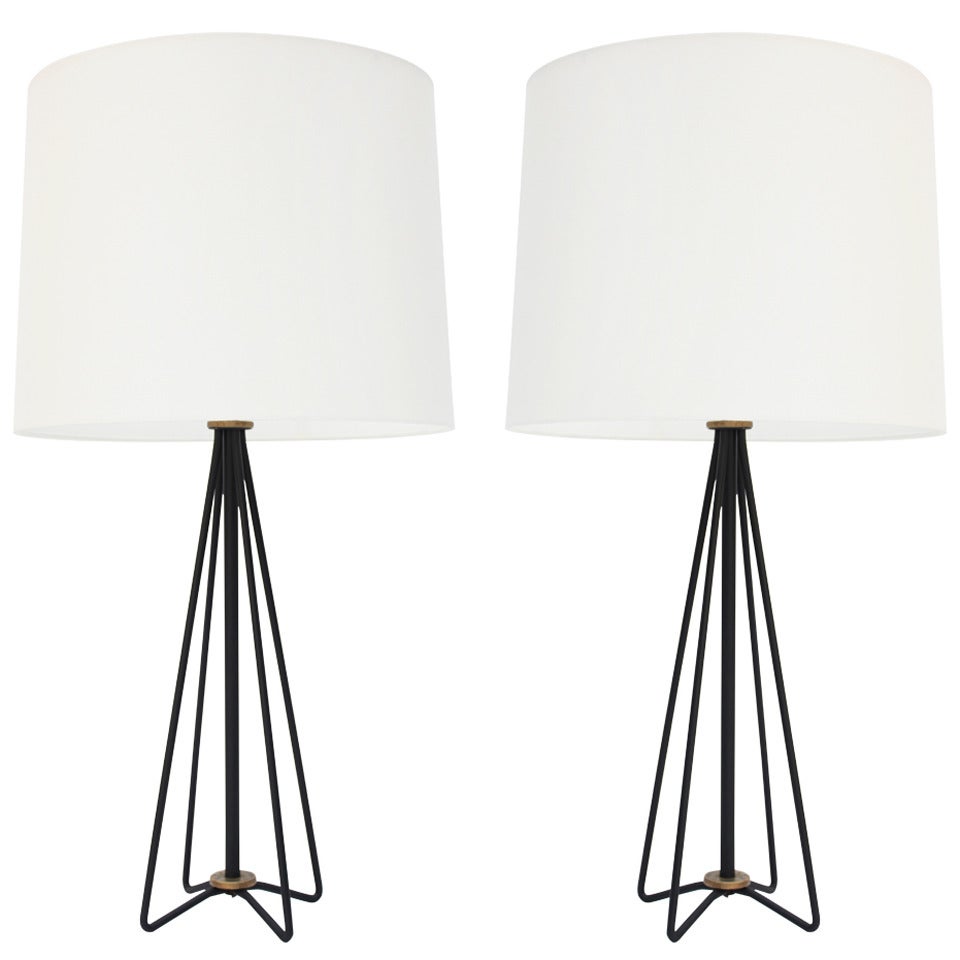 Pair of Black Steel  and Brass  Lamps