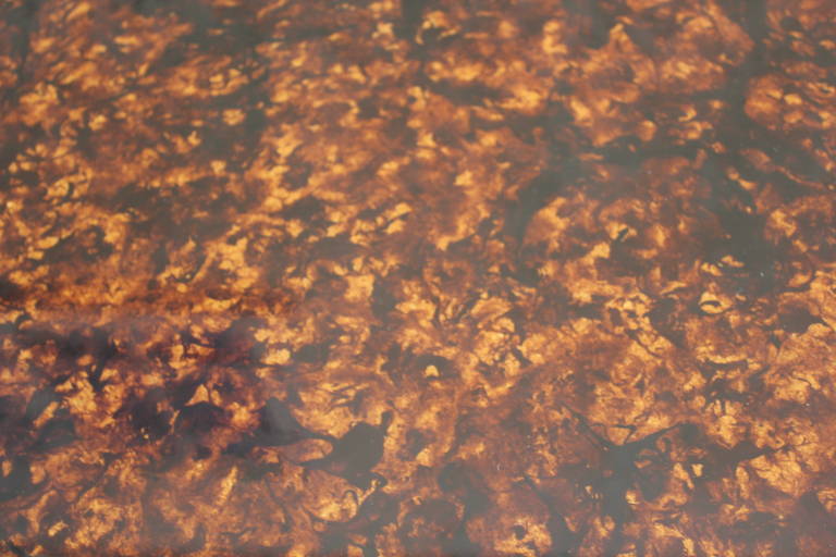Tortoise Resin Parson Table 1