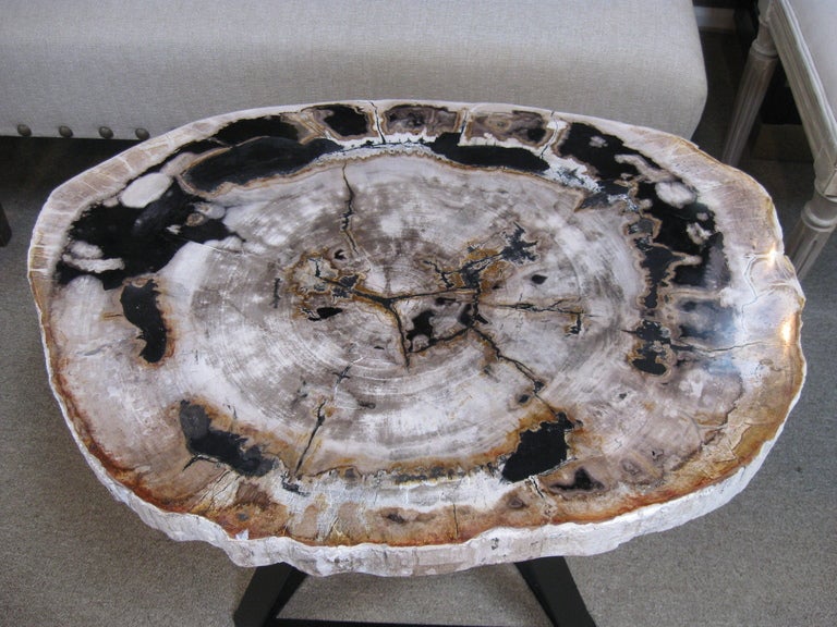 18th Century and Earlier Petrified Wood Side / End Table