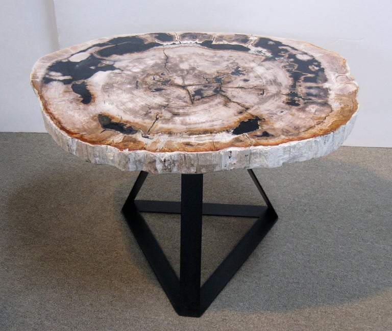 Unknown Petrified Wood Side / End Table