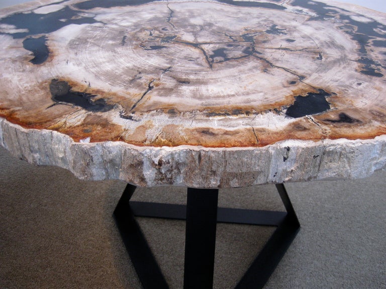 Petrified Wood Side / End Table 1