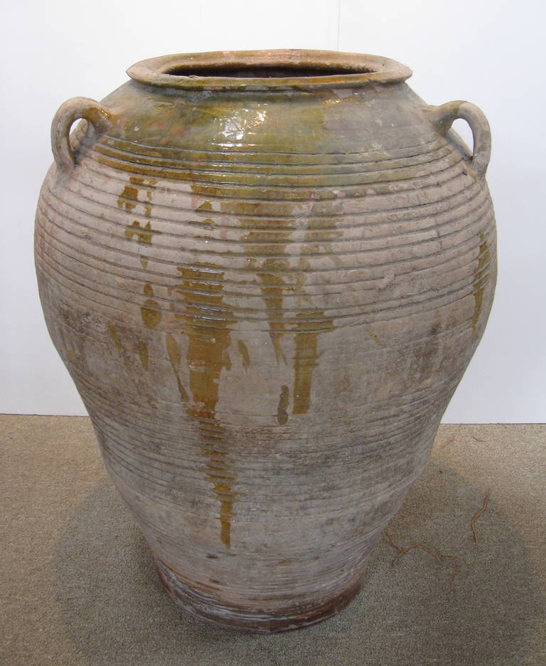 This large terra cotta olive pot has three small handles and a ridged design.  Painted, with remaining traces of glaze,