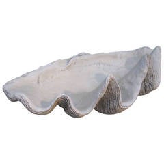 Giant Faux Clam Shell