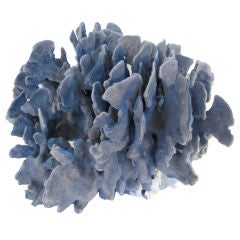 COLLECTION OF NATURAL CORAL