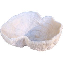 NATURAL CORAL FORMATION-BOWL VARIETY