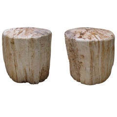 Pair Of Petrified Wood Side Tables / Stools