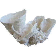 Large Sculptural Cup Coral