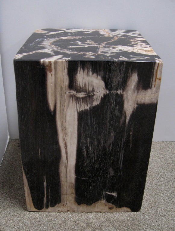 Unusual pair of  cut and polished petrified wood side tables/ stools.  Where most petrified wood artifacts are left in their natural found form, these have been cut in cube form and completely polished on all sides.

PLEASE NOTE: Petrified Wood is