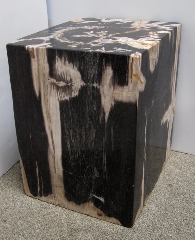 Unknown PAIR PETRIFIED WOOD STOOLS / SIDE TABLES