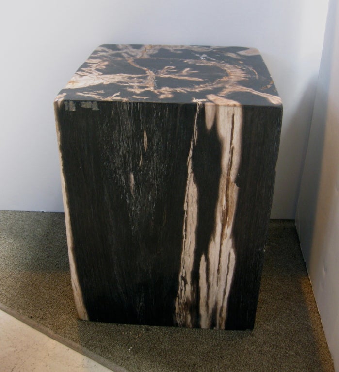 18th Century and Earlier PAIR PETRIFIED WOOD STOOLS / SIDE TABLES