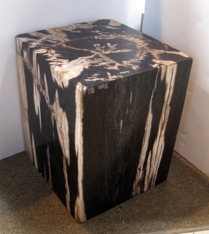 Petrified Wood PAIR PETRIFIED WOOD STOOLS / SIDE TABLES