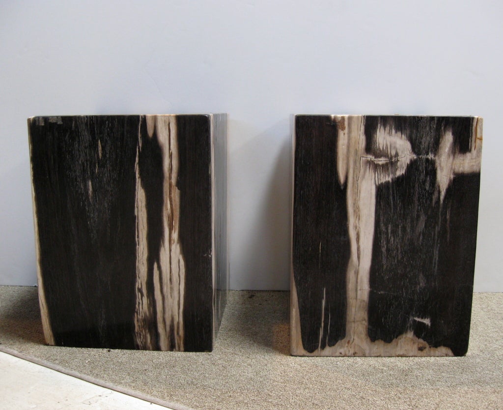 PAIR PETRIFIED WOOD STOOLS / SIDE TABLES 2