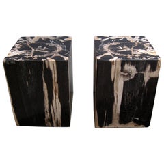 PAIR PETRIFIED WOOD STOOLS / SIDE TABLES