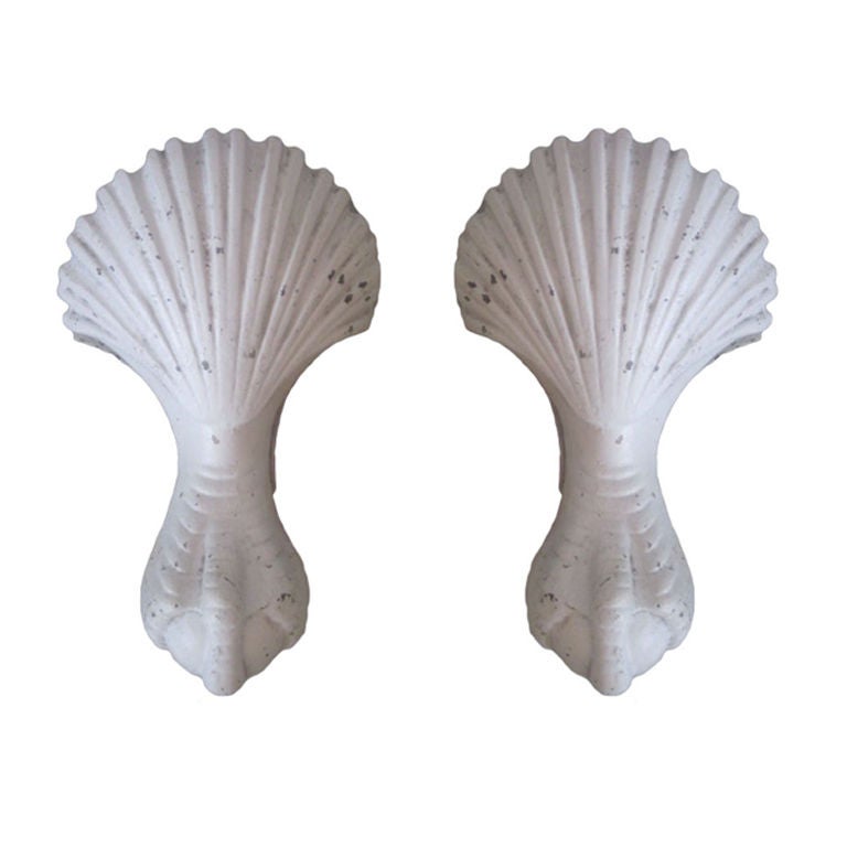 Pair of French 1930s Shell and Talon Sconces For Sale