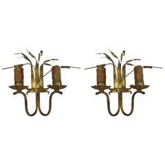 Pair of French Mid-Century Modern Floral Gilt Iron Wall Sconces, 1940
