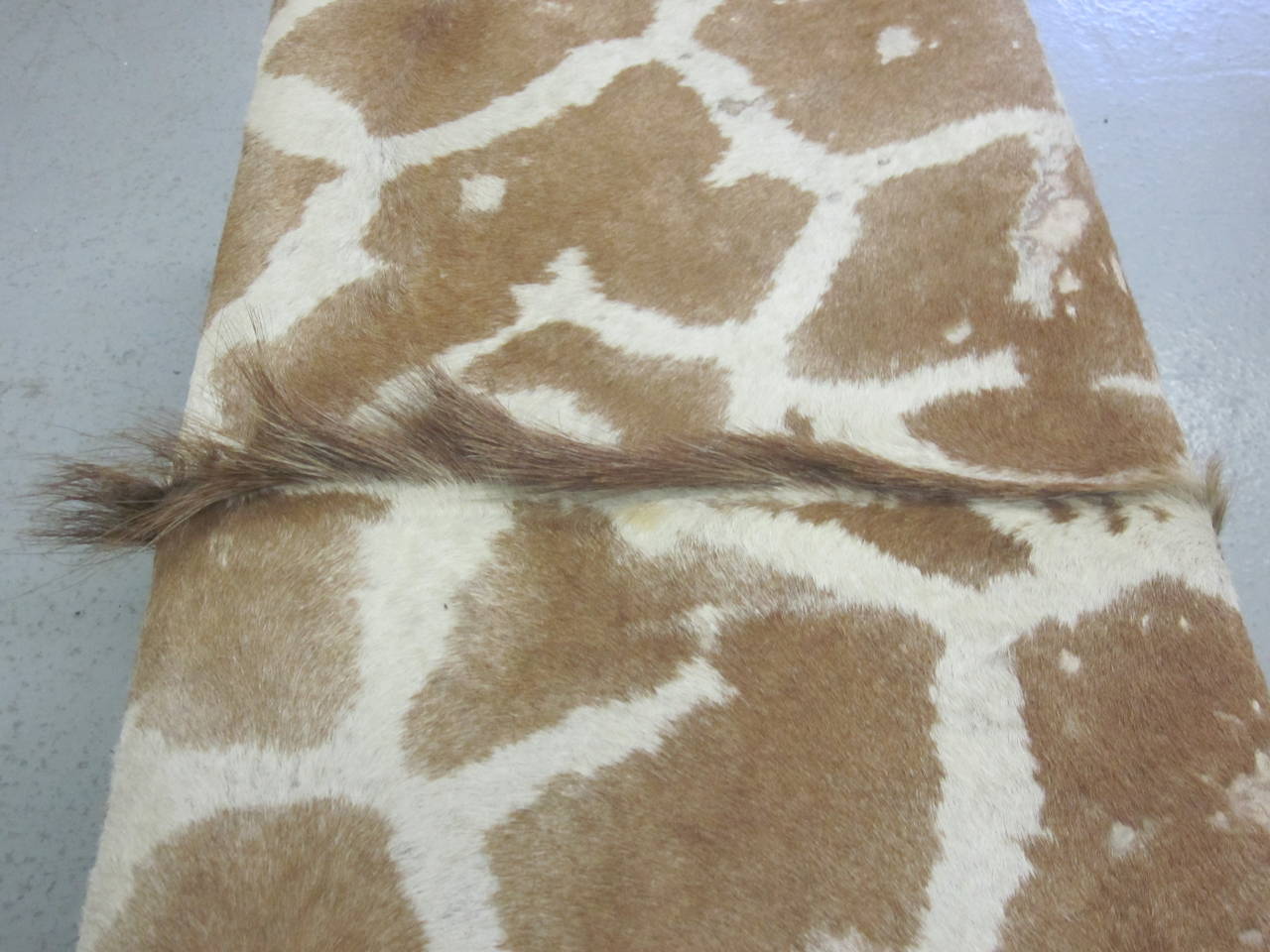 Sober French Mid-Century Modern Bench Covered in Giraffe Skin For Sale 2