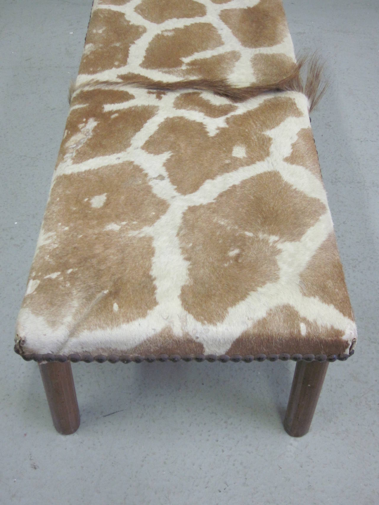 Wood Sober French Mid-Century Modern Bench Covered in Giraffe Skin For Sale