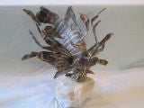 Lion Fish sculpture