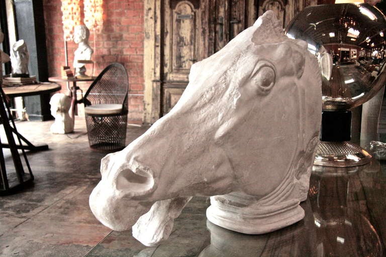 Italian Plaster Horse Head 1