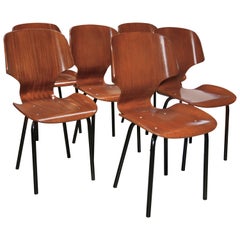 Set of Six Chairs by Carlo Ratti, 1955