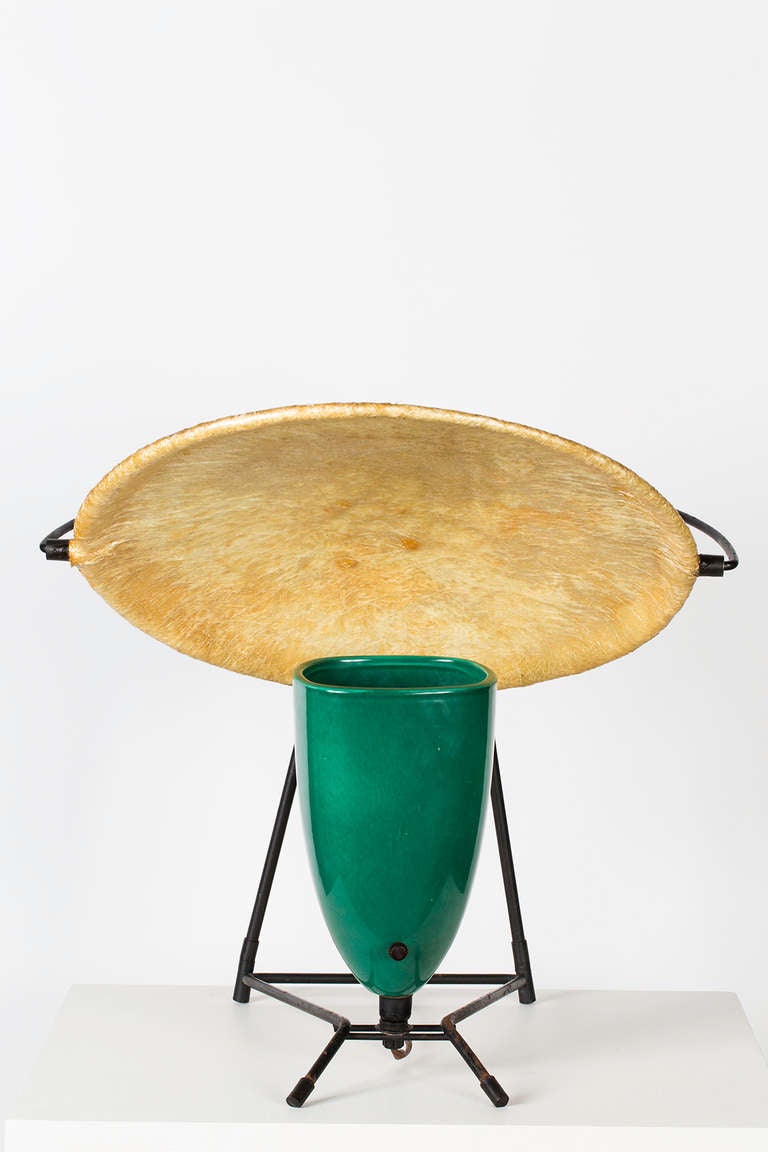 Mitchell Bobrick Control Lamp