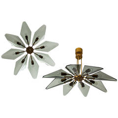 Cristal Arte Chandelier