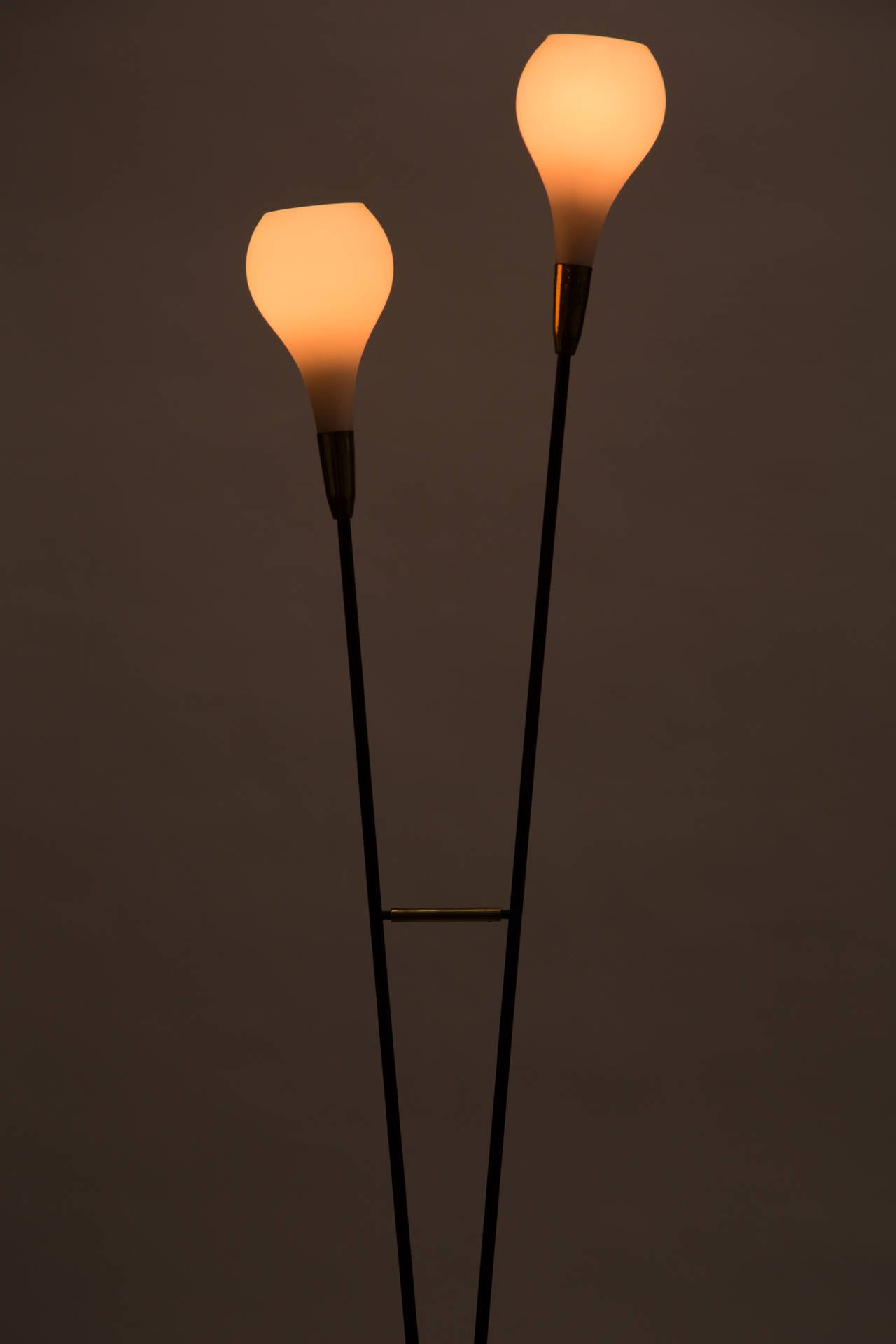 A two arm floor lamp with marble base and opaline shades