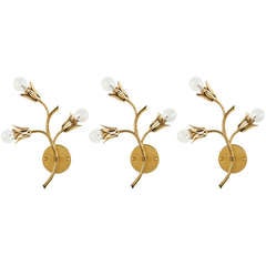 Three Italian Botanic Sconces