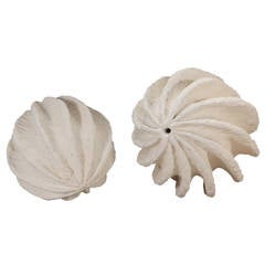 Joann Patterson Scallop Sculptures